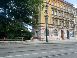 Pronájem bytu 3+1, Praha - Nové Město, Na Moráni, 61 m2