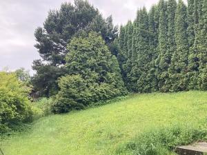 Pronájem rodinného domu, Mírová pod Kozákovem, 105 m2