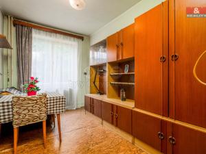 Prodej rodinného domu, Nechanice - Staré Nechanice, 234 m2