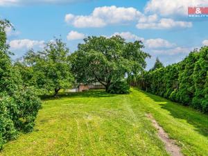 Prodej rodinného domu, Nechanice - Staré Nechanice, 234 m2