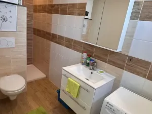 Pronájem bytu 2+1, Brno, Náplavka, 45 m2
