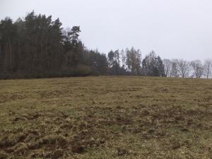 Prodej pole, Zvěstov - Bořkovice, 22738 m2