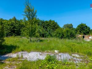 Prodej komerční nemovitosti, Krásná Lípa - Zahrady, 1605 m2