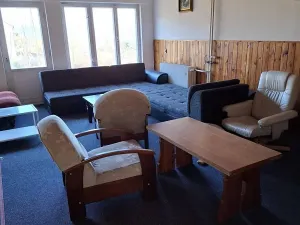 Prodej obchodního prostoru, Frymburk, 750 m2