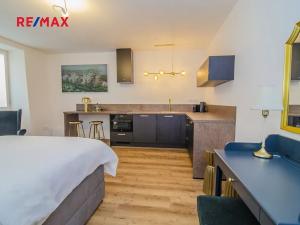 Pronájem bytu 1+kk, Polička, Šaffova, 30 m2