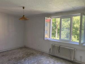 Prodej bytu 3+1, Větrušice, Jižní, 71 m2