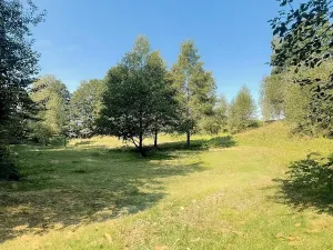 Prodej lesa, Výprachtice, 6838 m2