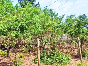 Prodej rodinného domu, Mogilishte, Bulharsko, 160 m2