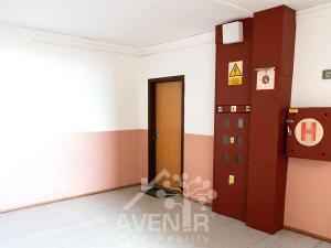 Prodej bytu 3+1, Hodonín, Anenská, 69 m2
