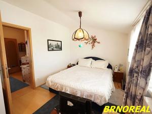 Prodej bytu 2+kk, Brno, Leskauerova, 60 m2