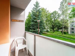 Pronájem bytu 2+1, Žďár nad Sázavou - Žďár nad Sázavou 6, Haškova, 51 m2