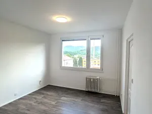 Prodej bytu 1+1, Ústí nad Labem, Železná, 34 m2