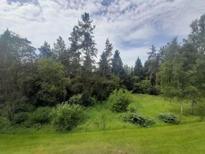 Prodej bytu 2+1, Rotava, Sídliště, 51 m2