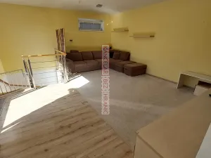 Pronájem atypického bytu, Brno, Kamechy, 120 m2