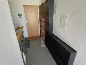 Pronájem atypického bytu, Brno, Kamechy, 120 m2