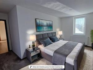 Prodej bytu 3+kk, Velké Hamry, 79 m2