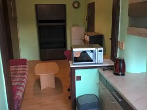 Pronájem bytu 1+kk, Brno, Mošnova, 21 m2