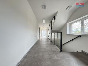 Pronájem bytu 1+kk, Chlumec nad Cidlinou - Chlumec nad Cidlinou IV, Rooseveltova, 35 m2