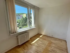 Prodej bytu 2+1, Děčín, Na Pěšině, 50 m2