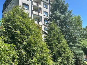 Prodej bytu 2+1, Děčín, Na Pěšině, 50 m2