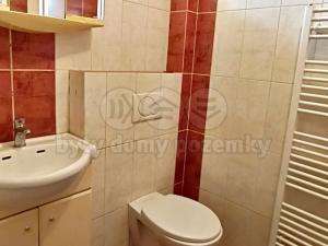 Pronájem bytu 1+kk, Chabařovice, Husovo náměstí, 25 m2