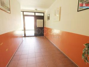 Prodej bytu 2+kk, Cvikov, Boženy Němcové, 40 m2