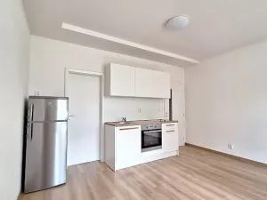 Pronájem bytu 1+kk, Praha - Bubeneč, U zeměpisného ústavu, 26 m2