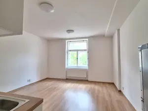 Pronájem bytu 1+kk, Praha - Bubeneč, U zeměpisného ústavu, 26 m2
