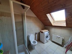 Pronájem bytu 1+kk, Červený Újezd, U Větráku, 43 m2