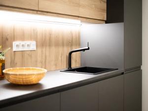 Pronájem bytu 3+kk, Brno, Kohoutovická, 70 m2