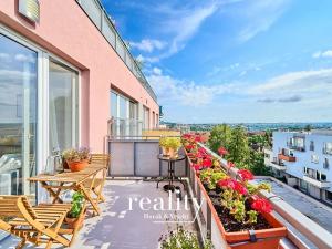 Pronájem bytu 2+kk, Jihlava, Vrchlického, 72 m2