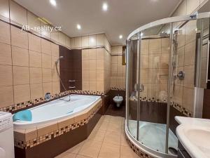 Pronájem bytu 3+kk, Teplice, U Hadích lázní, 79 m2