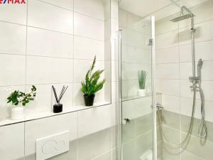 Pronájem bytu 1+1, Náchod, Příkopy, 33 m2
