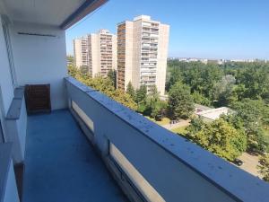Pronájem bytu 1+kk, Hradec Králové, Jungmannova, 30 m2