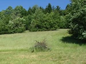 Prodej louky, Krucemburk, 9000 m2