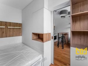 Pronájem bytu 1+kk, Praha - Vinohrady, Perucká, 27 m2