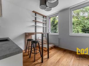 Pronájem bytu 1+kk, Praha - Vinohrady, Perucká, 27 m2