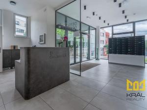 Pronájem bytu 1+kk, Praha - Vinohrady, Perucká, 27 m2