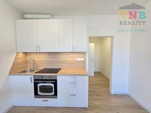 Pronájem bytu 1+kk, Olomouc, Aloise Rašína, 30 m2