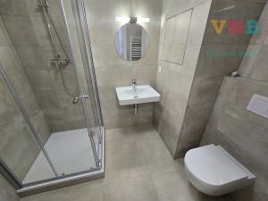 Pronájem bytu 1+kk, Olomouc, Aloise Rašína, 30 m2