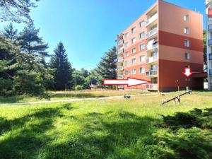 Prodej bytu 1+kk, Nový Bor, Sadová, 28 m2