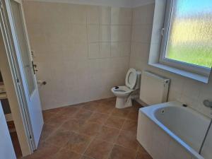 Pronájem bytu 2+1, Teplice, Štúrova, 52 m2