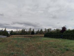 Prodej pozemku, Kadaň, Vinohrady, 1605 m2