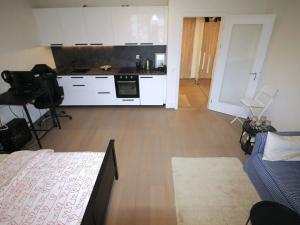 Pronájem bytu 1+kk, Praha - Modřany, Vrátnická, 36 m2