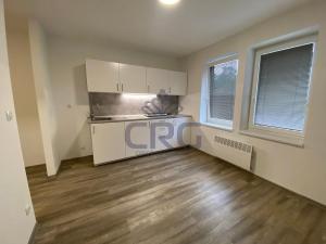 Pronájem bytu 1+kk, Brno - Maloměřice, 17 m2