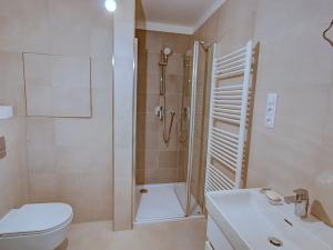 Pronájem bytu 1+kk, Brno, Hybešova, 46 m2