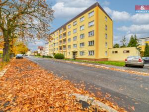 Pronájem bytu 2+1, Františkovy Lázně, Česká, 53 m2