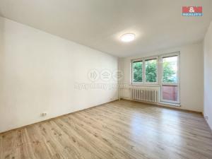 Pronájem bytu 1+kk, Ostrava - Moravská Ostrava, U Parku, 26 m2