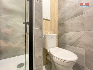 Pronájem bytu 1+kk, Ostrava - Moravská Ostrava, U Parku, 26 m2