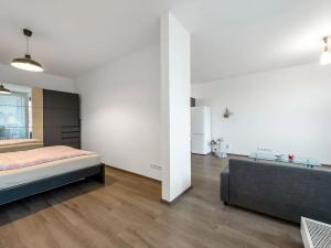 Pronájem bytu 2+kk, Praha - Žižkov, Olgy Havlové, 54 m2